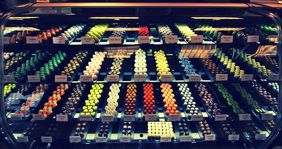 Ft. Myers Day One Unbroken Horse