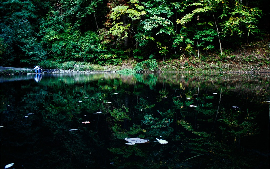 Mystic_Forest_by_Sunira
