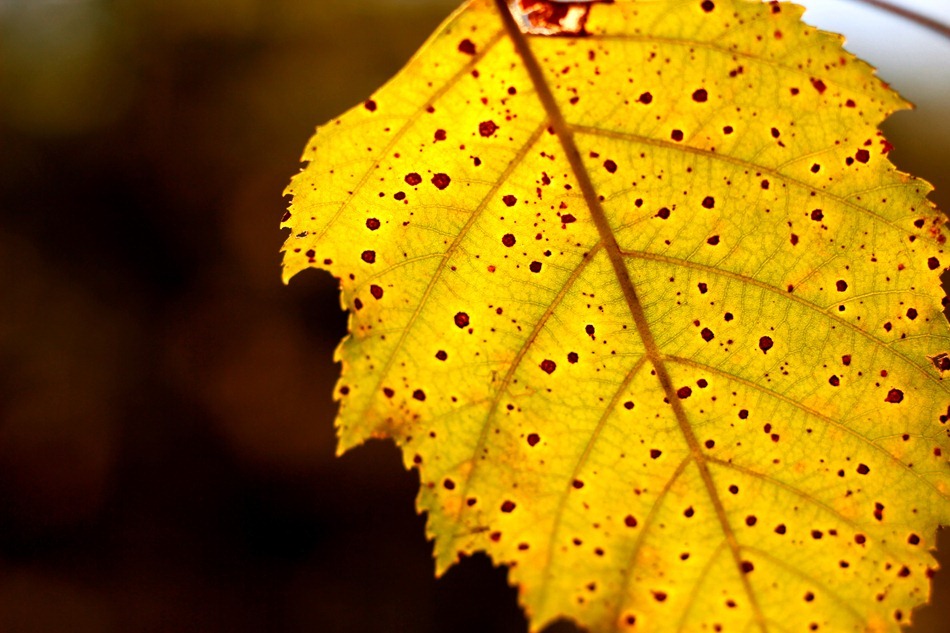 IMG_0870_edit