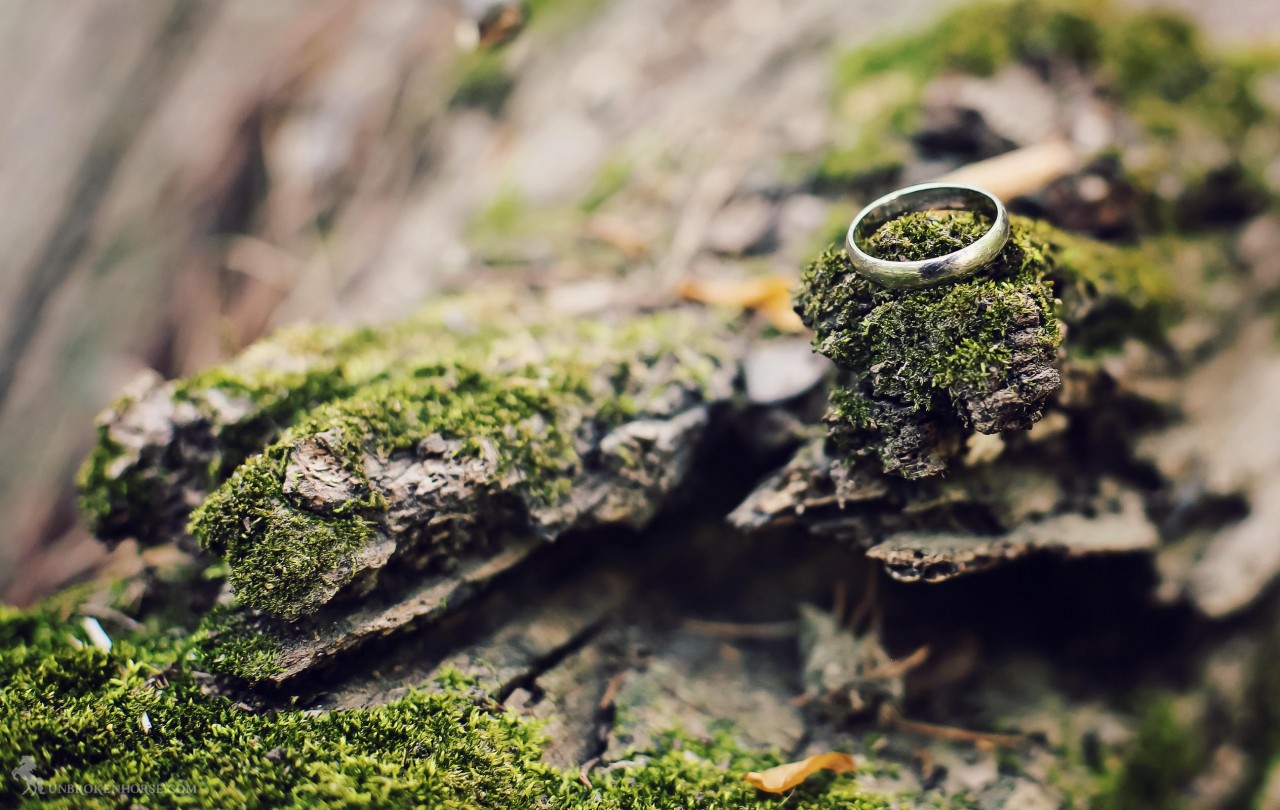 I only had my wedding ring on me. Perfect natural setting for a ring shot. Couldn't help myself.